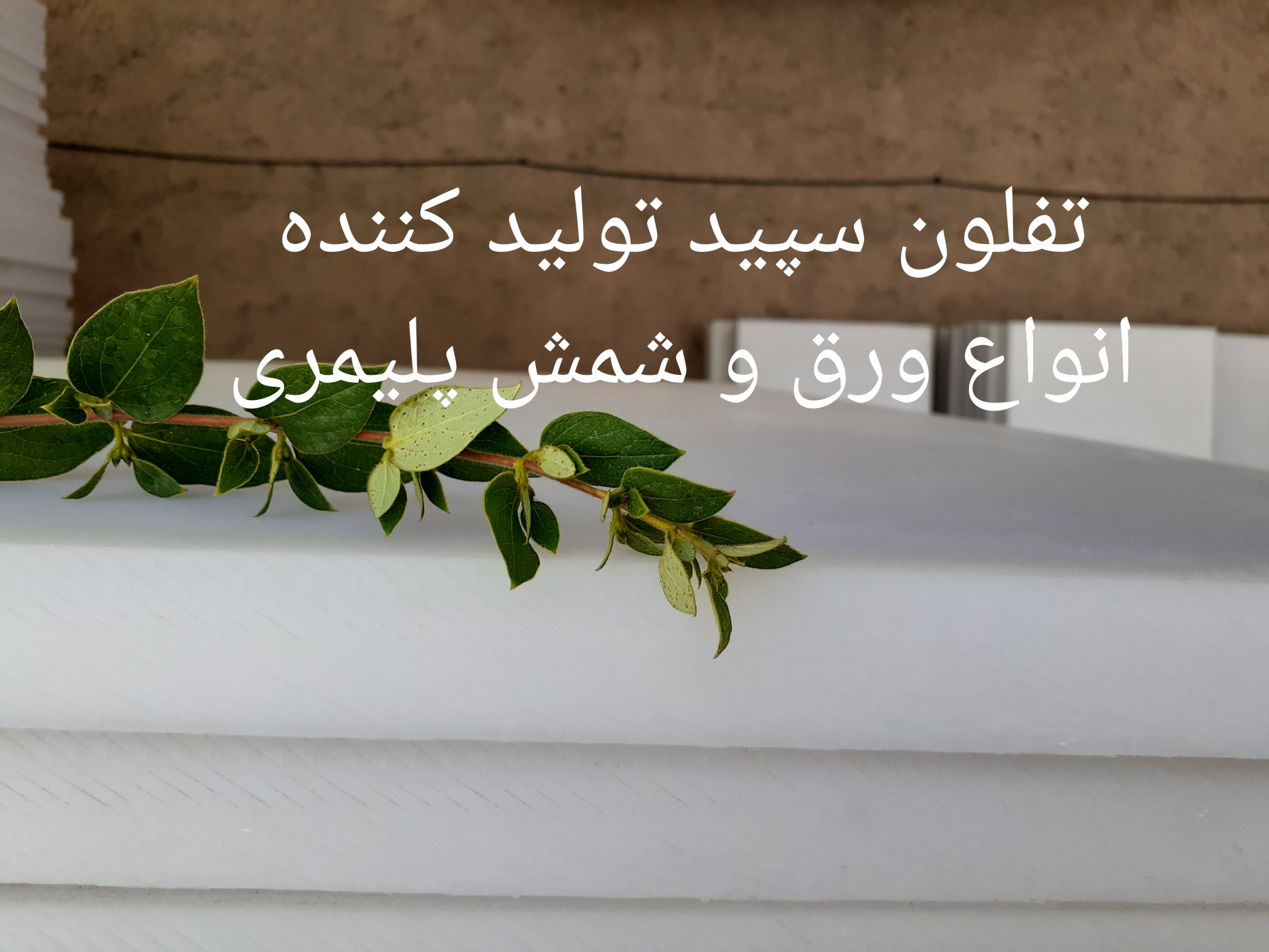 محصول ویژه ۱